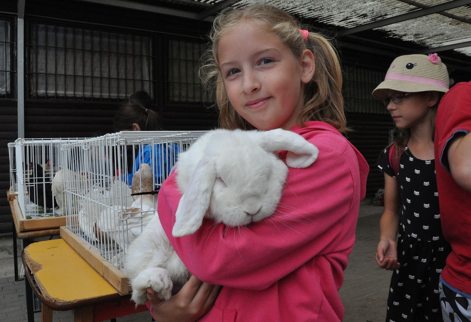 Galamb- és kisállattenyésztők a Városi Napközis Táborban